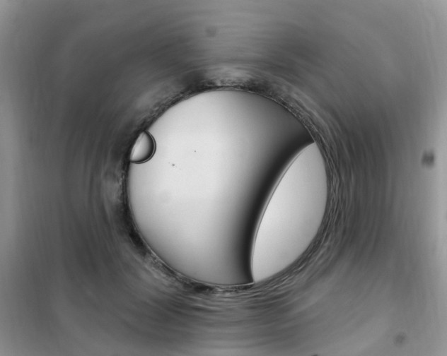 X0000102350604200808010937