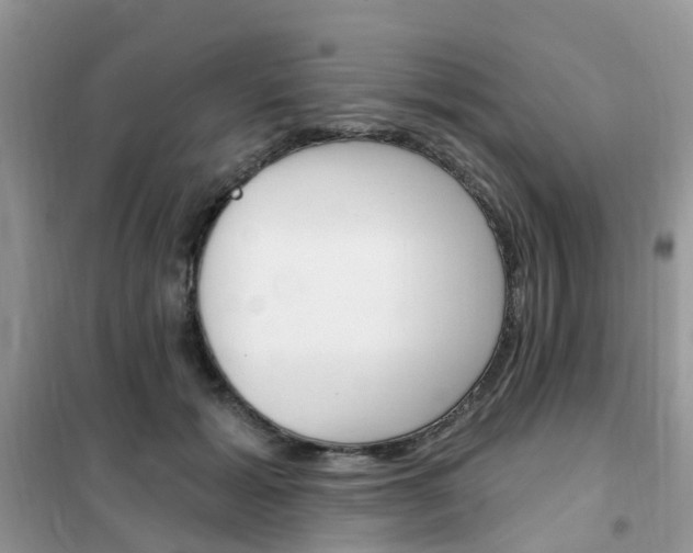 X0000102350605200808010937