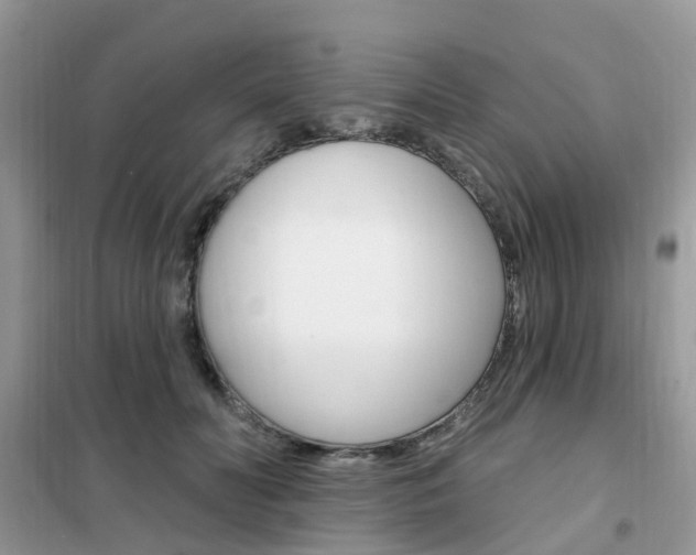 X0000102350606200808010937