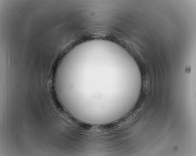 X0000102350608200808010937