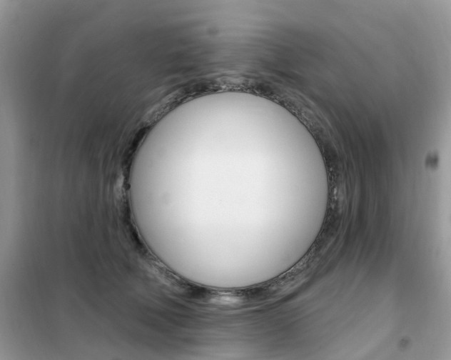X0000102350610200808010937