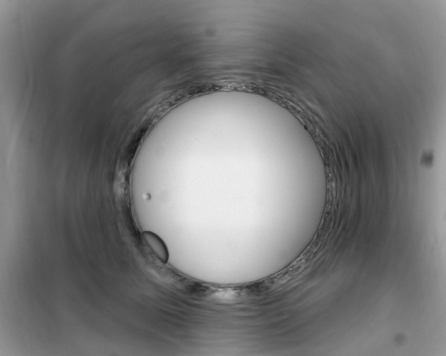 X0000102350611200808010937