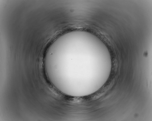 X0000102350612200808010937