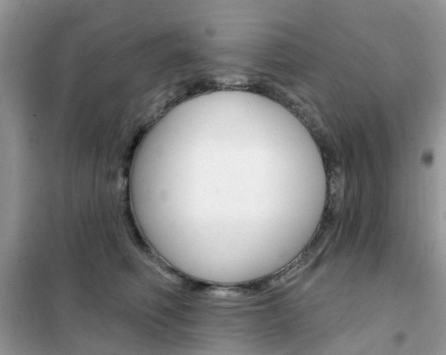 X0000102350614200808010937