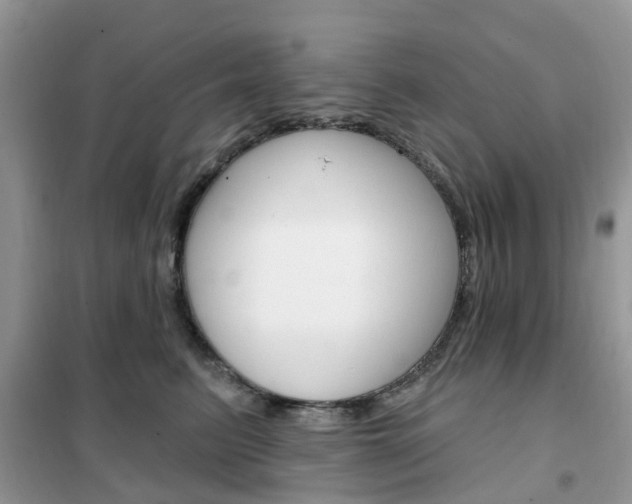 X0000102350615200808010937