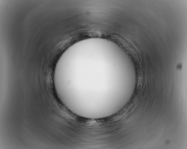 X0000102350616200808010937