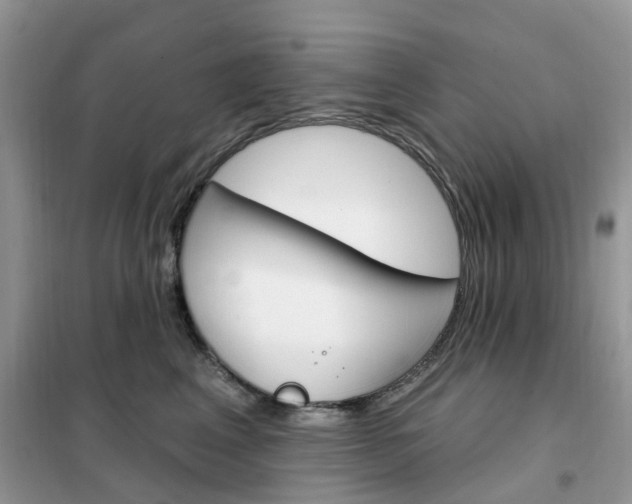 X0000102350617200808010937
