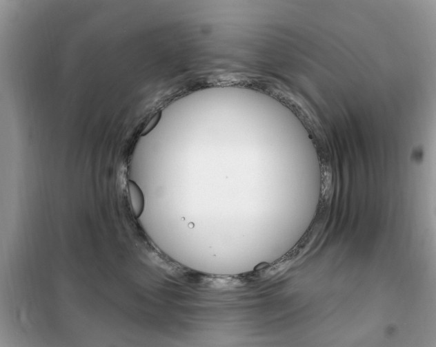 X0000102350621200808010937