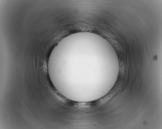 X0000102350622200808010937