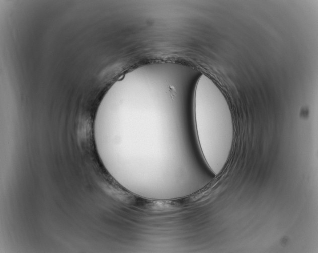 X0000102350623200808010937