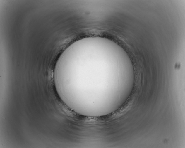 X0000102350624200808010937