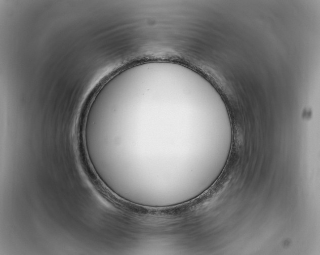 X0000102350630200808010936