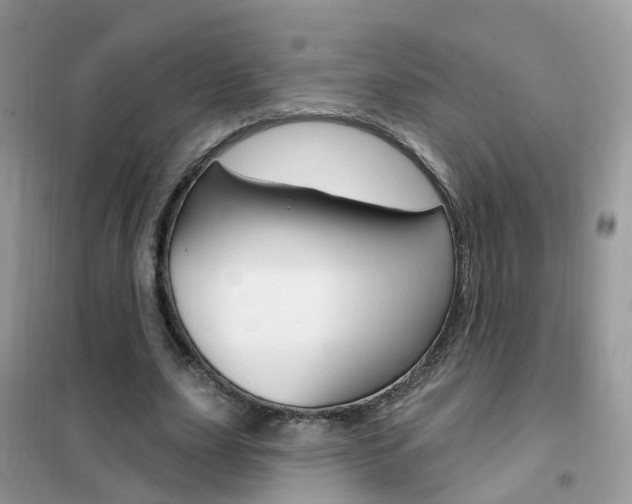 X0000102350631200808010936