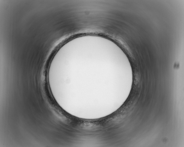 X0000102350632200808010936
