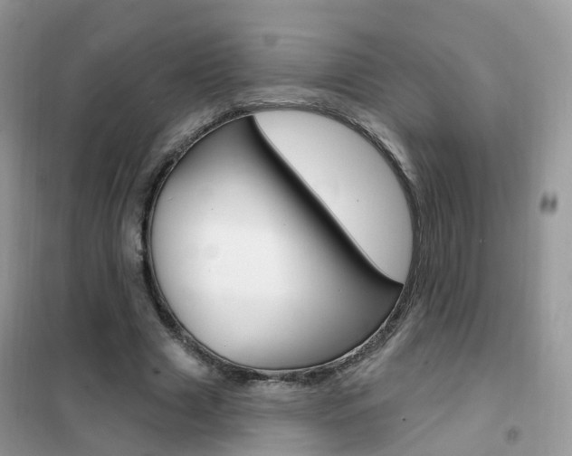 X0000102350633200808010936