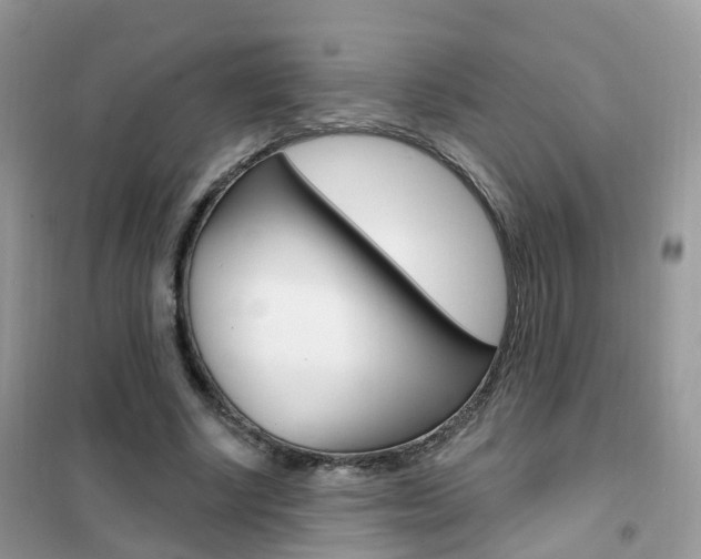 X0000102350634200808010936
