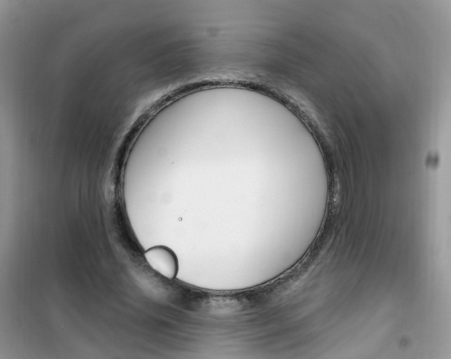 X0000102350636200808010936