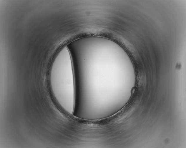 X0000102350637200808010936