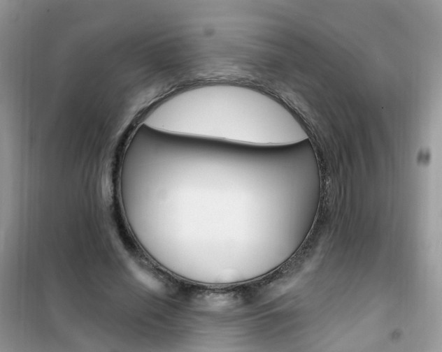 X0000102350638200808010936
