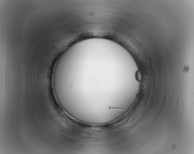 X0000102350639200808010936
