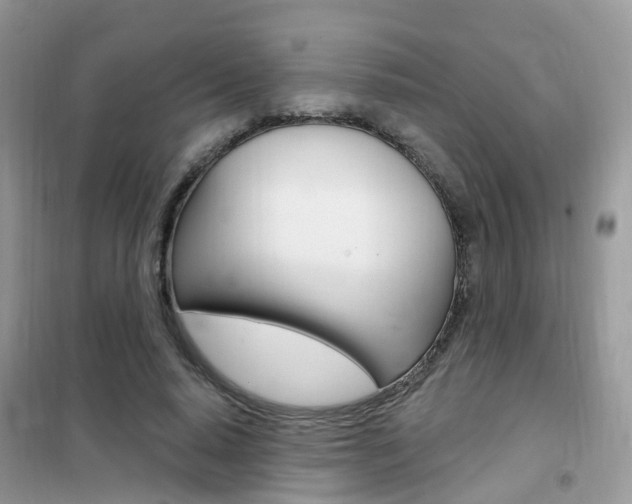 X0000102350640200808010936