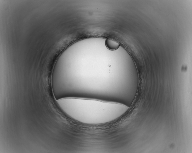 X0000102350641200808010936
