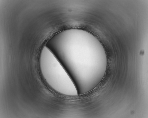 X0000102350642200808010936