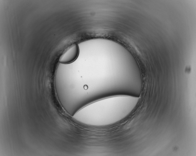 X0000102350643200808010936