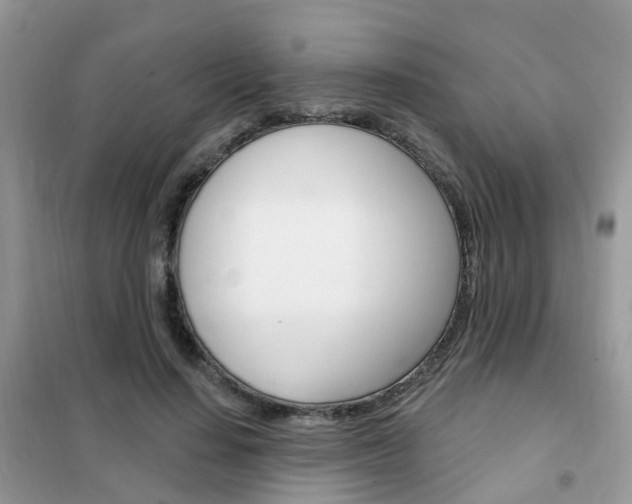 X0000102350644200808010936