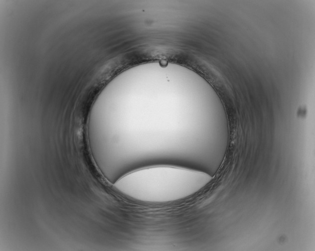 X0000102350646200808010936