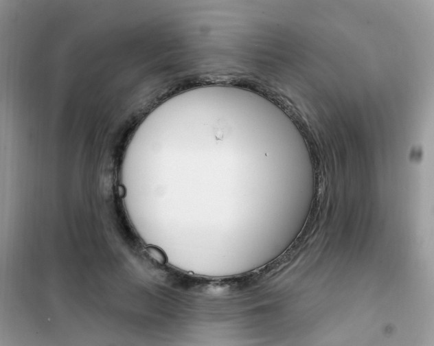 X0000102350647200808010936