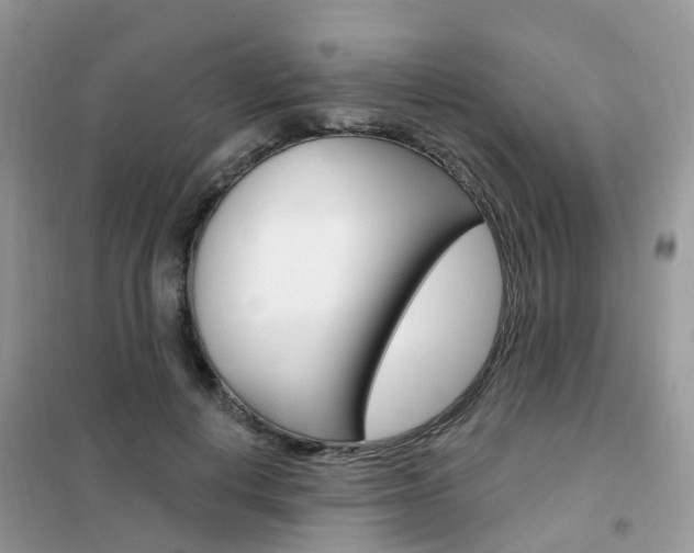X0000102350648200808010936