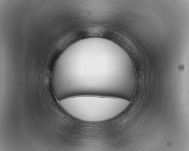 X0000102350649200808010936