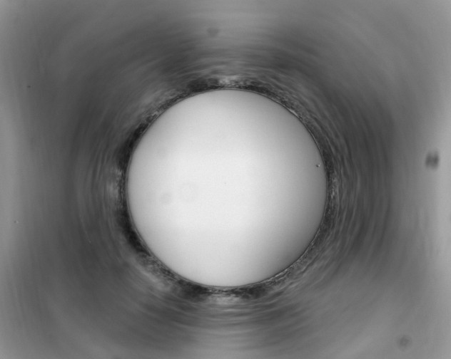 X0000102350650200808010936
