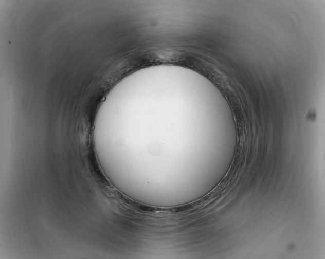 X0000102350651200808010937