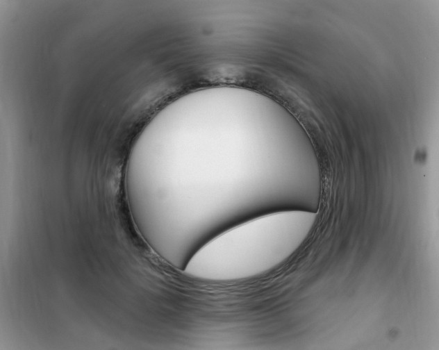 X0000102350652200808010937