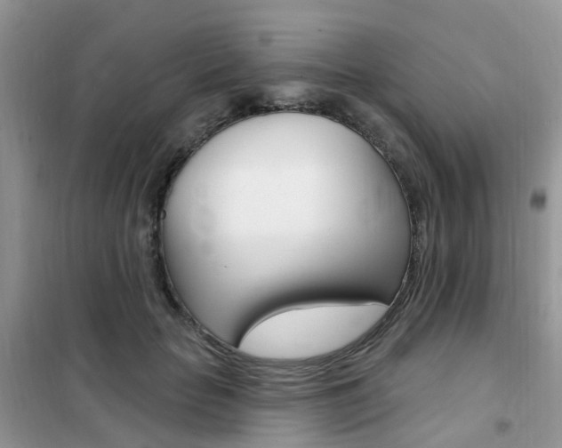 X0000102350653200808010937