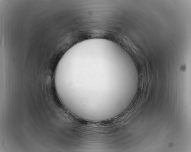 X0000102350655200808010937
