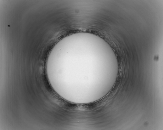 X0000102350656200808010937