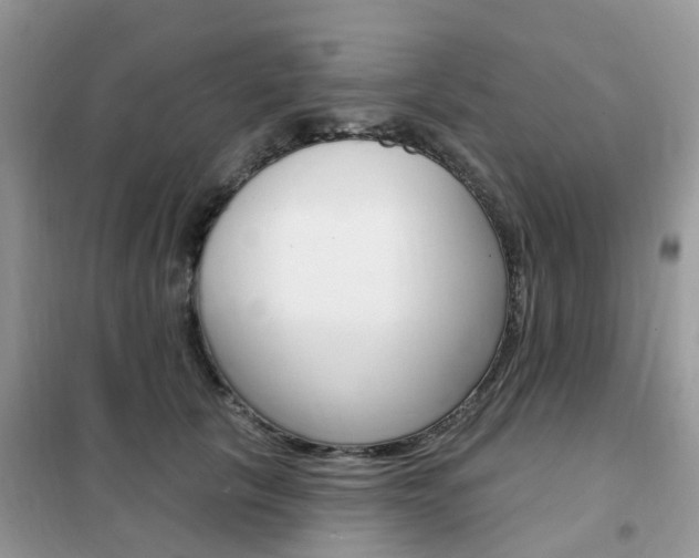 X0000102350657200808010937