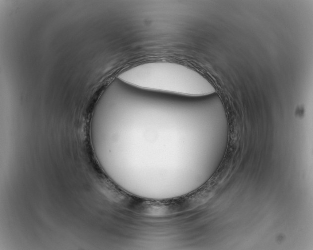 X0000102350658200808010937