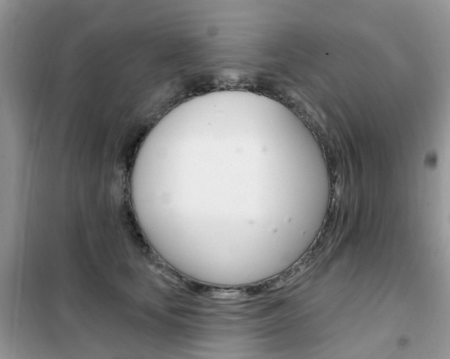 X0000102350659200808010937