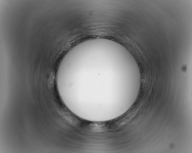 X0000102350660200808010937