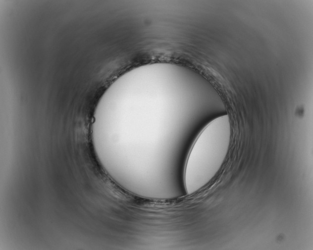 X0000102350661200808010937