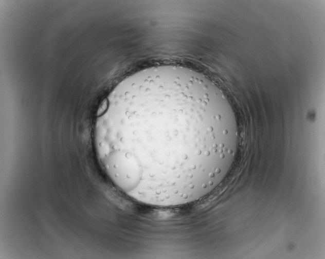 X0000102350662200808010937