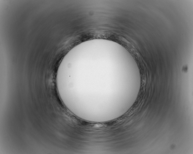 X0000102350663200808010937