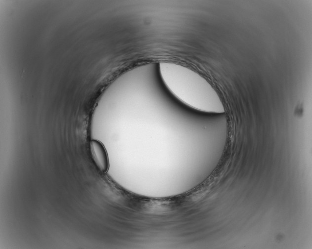 X0000102350664200808010937