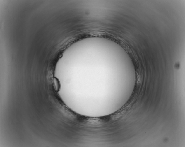 X0000102350666200808010937