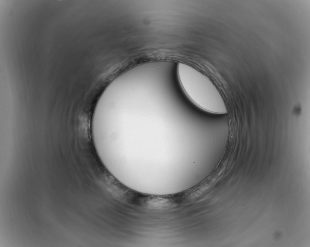 X0000102350669200808010937