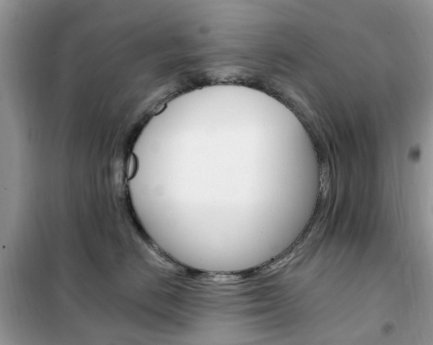 X0000102350670200808010937